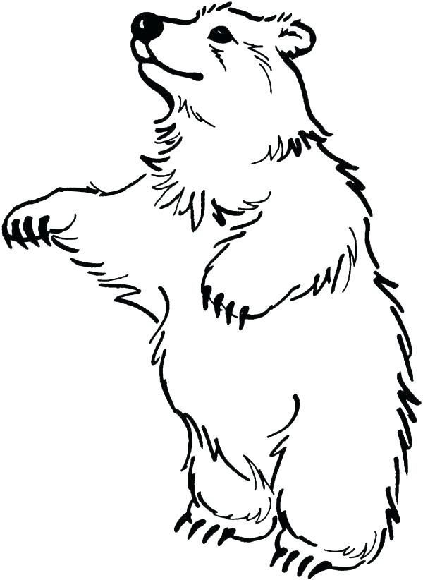 600x822 Louisiana Coloring Pages Coloring Pages Symbols Sheets State Flag