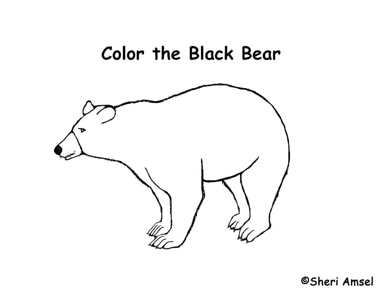 792x612 Louisiana Coloring Pages Flag Coloring Page Louisiana State