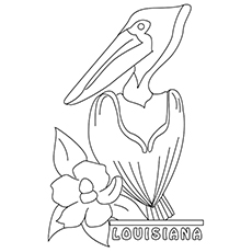 230x230 Top 10 Pelican Coloring Pages For Toddlers