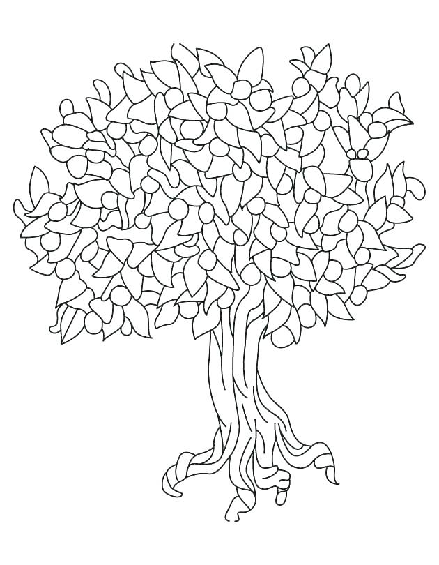 630x810 Louisiana Coloring Sheets