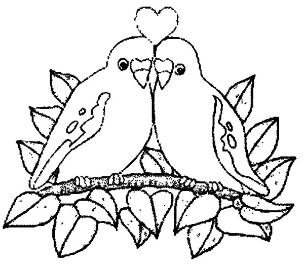600x525 Love Birds Perching Coloring Pages Batch Coloring