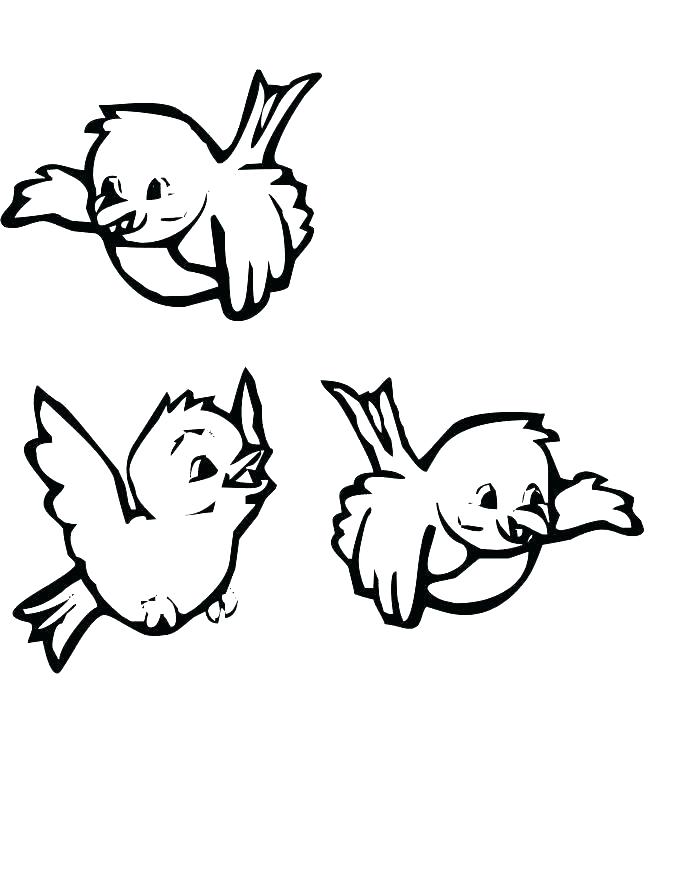 700x875 Printable Coloring Pictures Of Fish Printable Coloring Bird