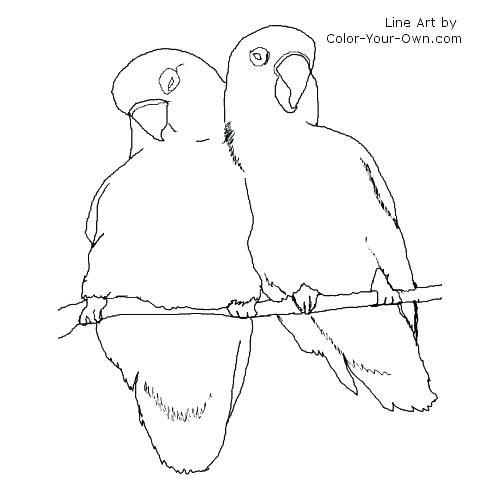 500x500 Baby Bird Coloring Page Bird Coloring Sheets Baby Bird Coloring