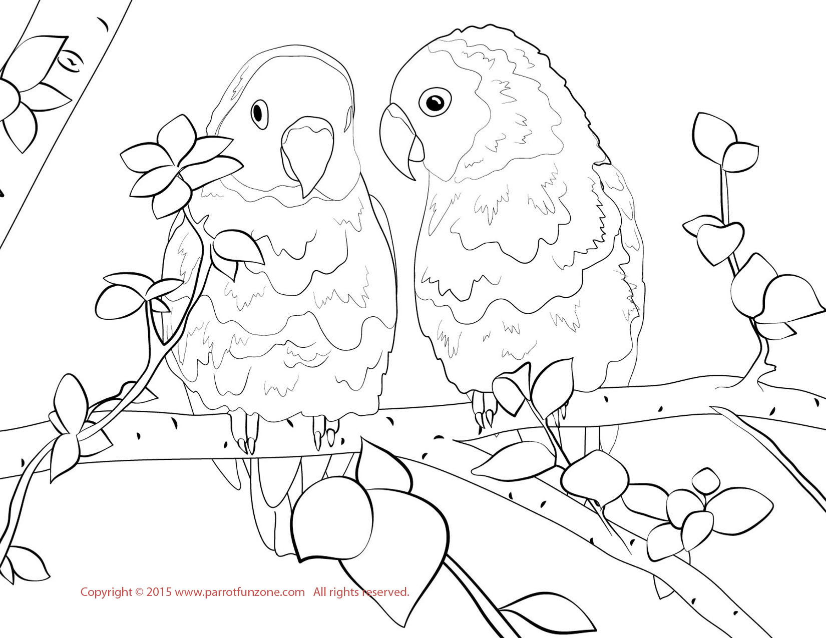 1650x1275 Lovebird