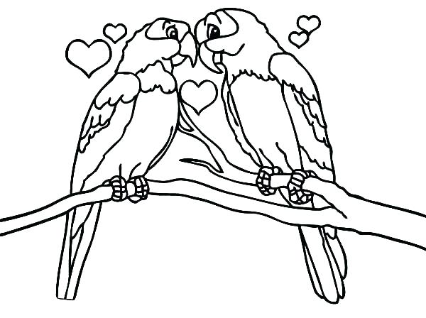 600x448 Bird Coloring Pages For Preschoolers