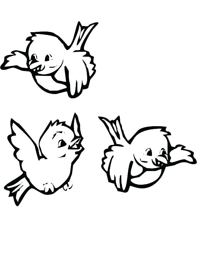700x875 Cardinal Bird Coloring Page Love Bird Coloring Pages Red Cardinal