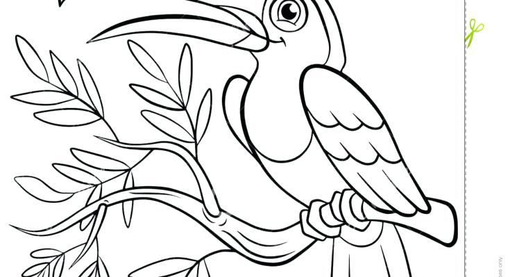735x400 Coloring Pages Birds Birds Coloring Page Coloring Pages Bird Love