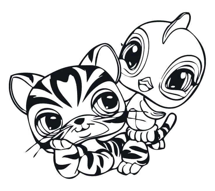 736x656 Lps Coloring Pages Printable Colouring Pages Littlest Pet Shop