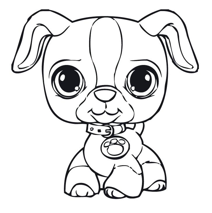 727x731 Littlest Pet Shop Coloring Pages For Kids Free Printable Littlest