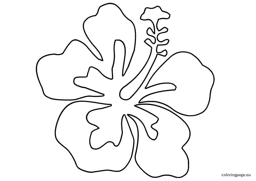 842x595 Luau Coloring Pages Printable Luau Coloring Page 3 Coolest Free