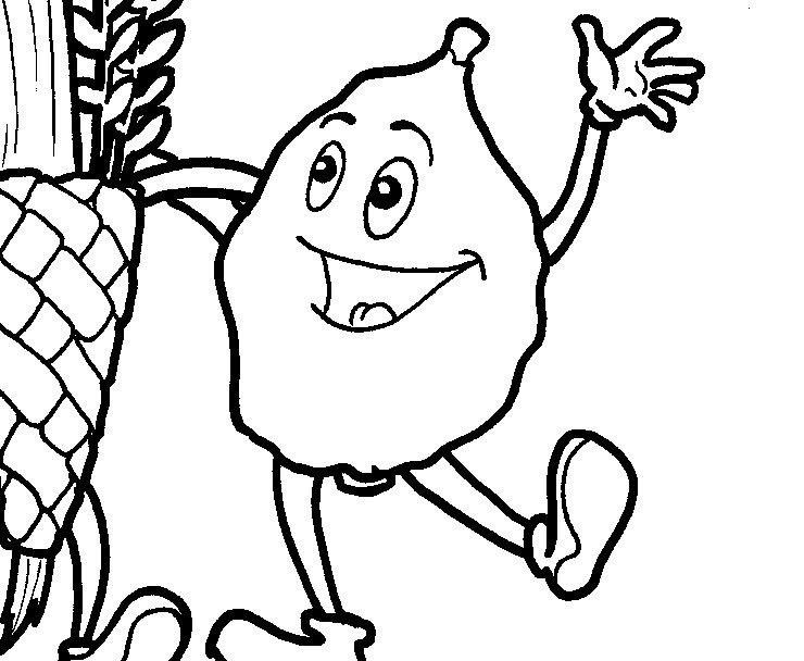740x608 Lulav Etrog Coloring Pages