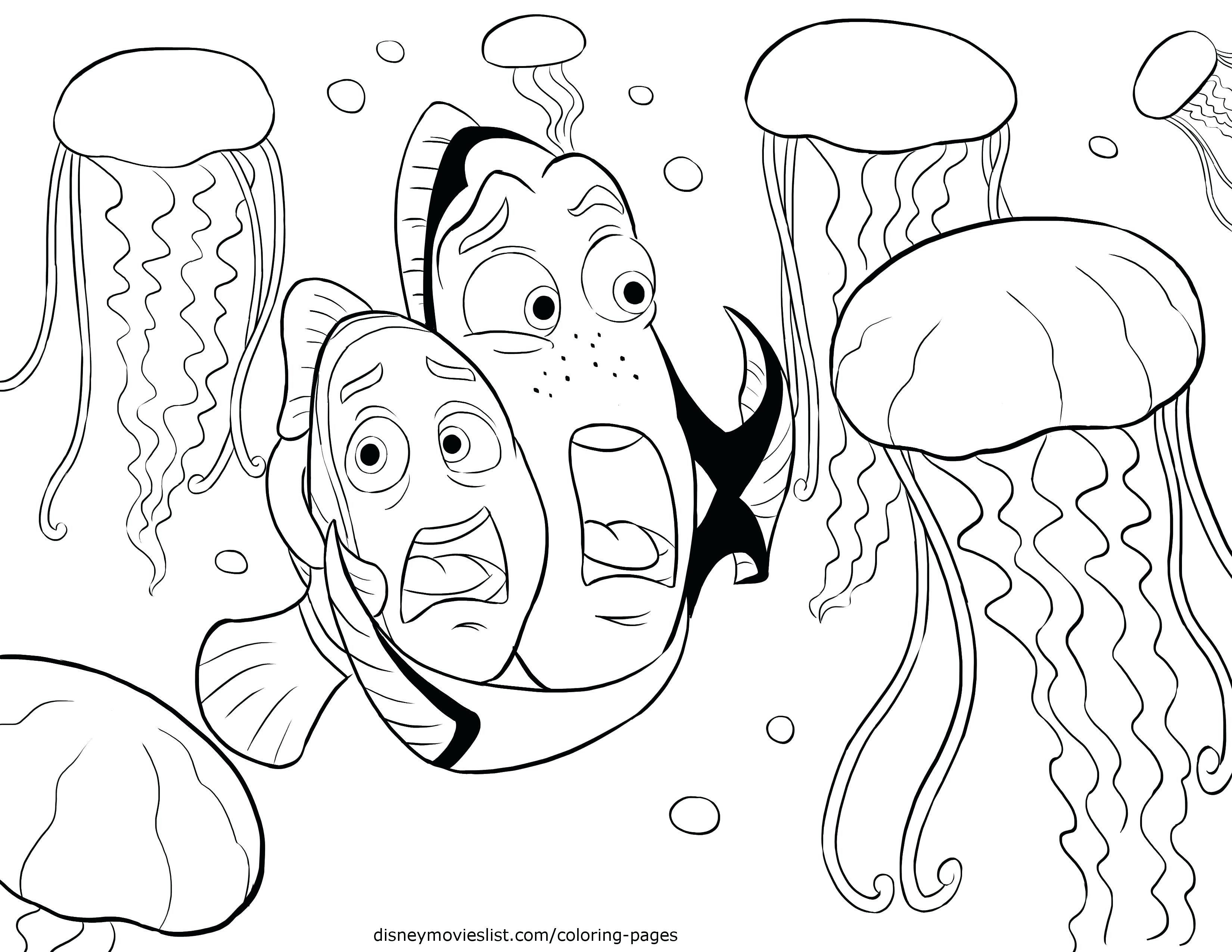 3300x2550 Rosh Hashanah Coloring Pages Elegant Coloring Page For Succot Kids