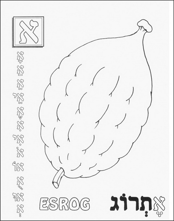 570x727 Sukkot Coloring Pages