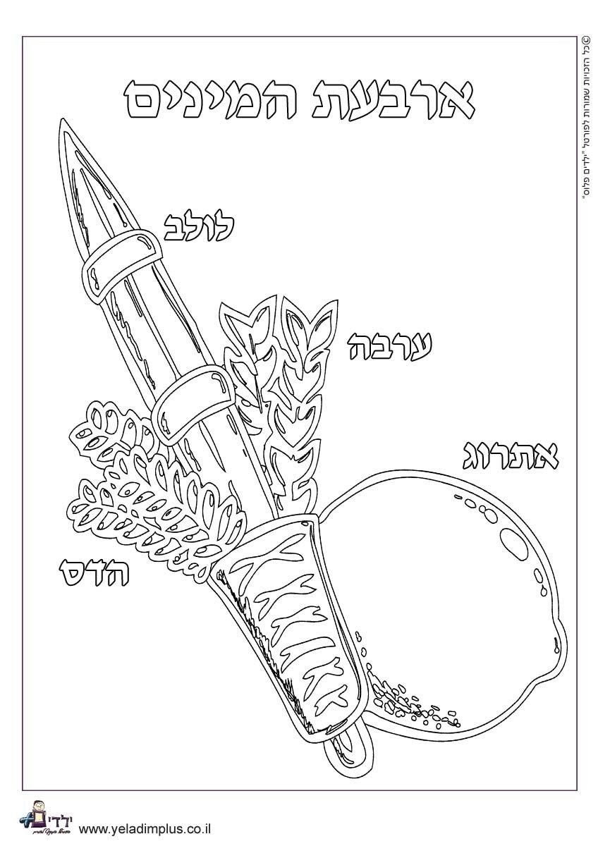 848x1200 Sukkot Coloring Page. Mystery Of History Volume 1, Lesson 20, 79