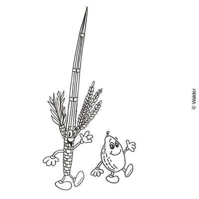 400x400 Cartooned Lulav And Esrog Walder Education