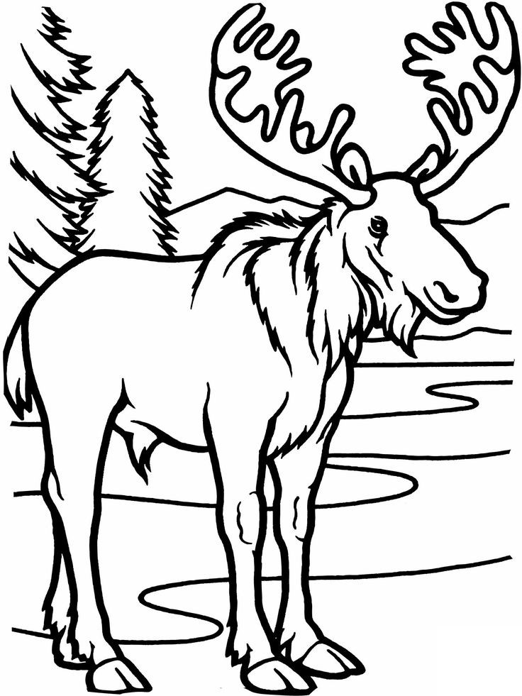 Lumberjack Coloring Pages