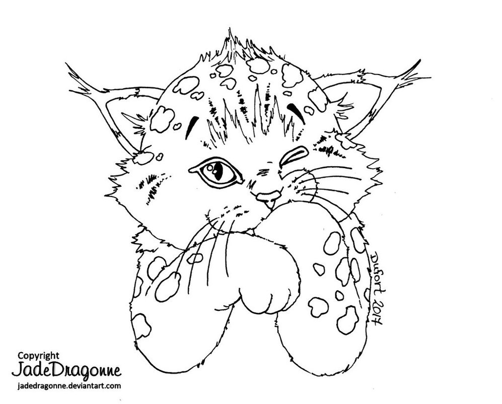 997x802 Baby Lynx