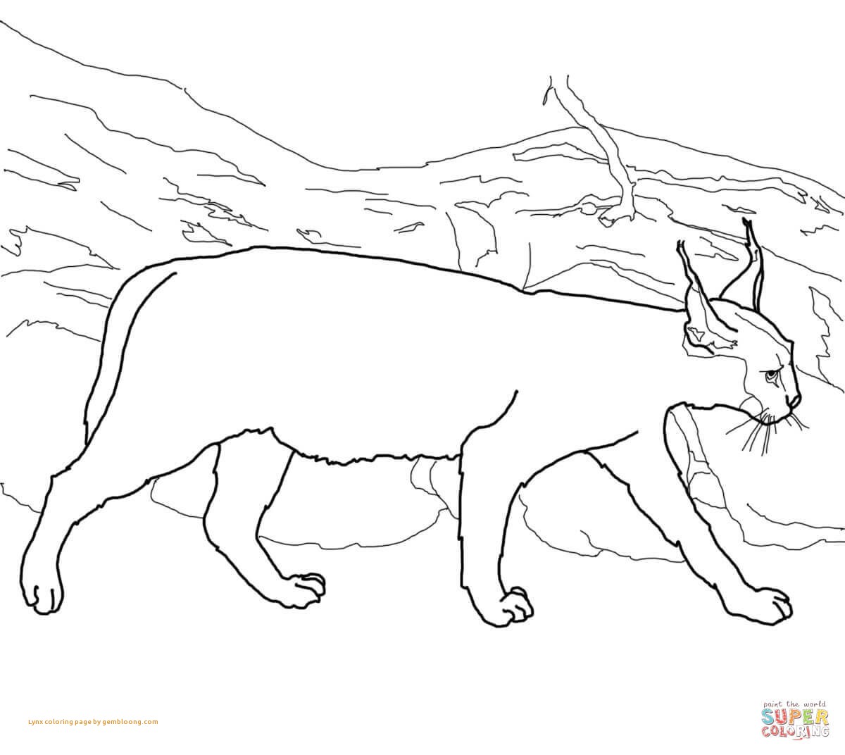 1200x1072 Lynx Coloring Pages Coloring Pages Luxury Lynx Coloring Page