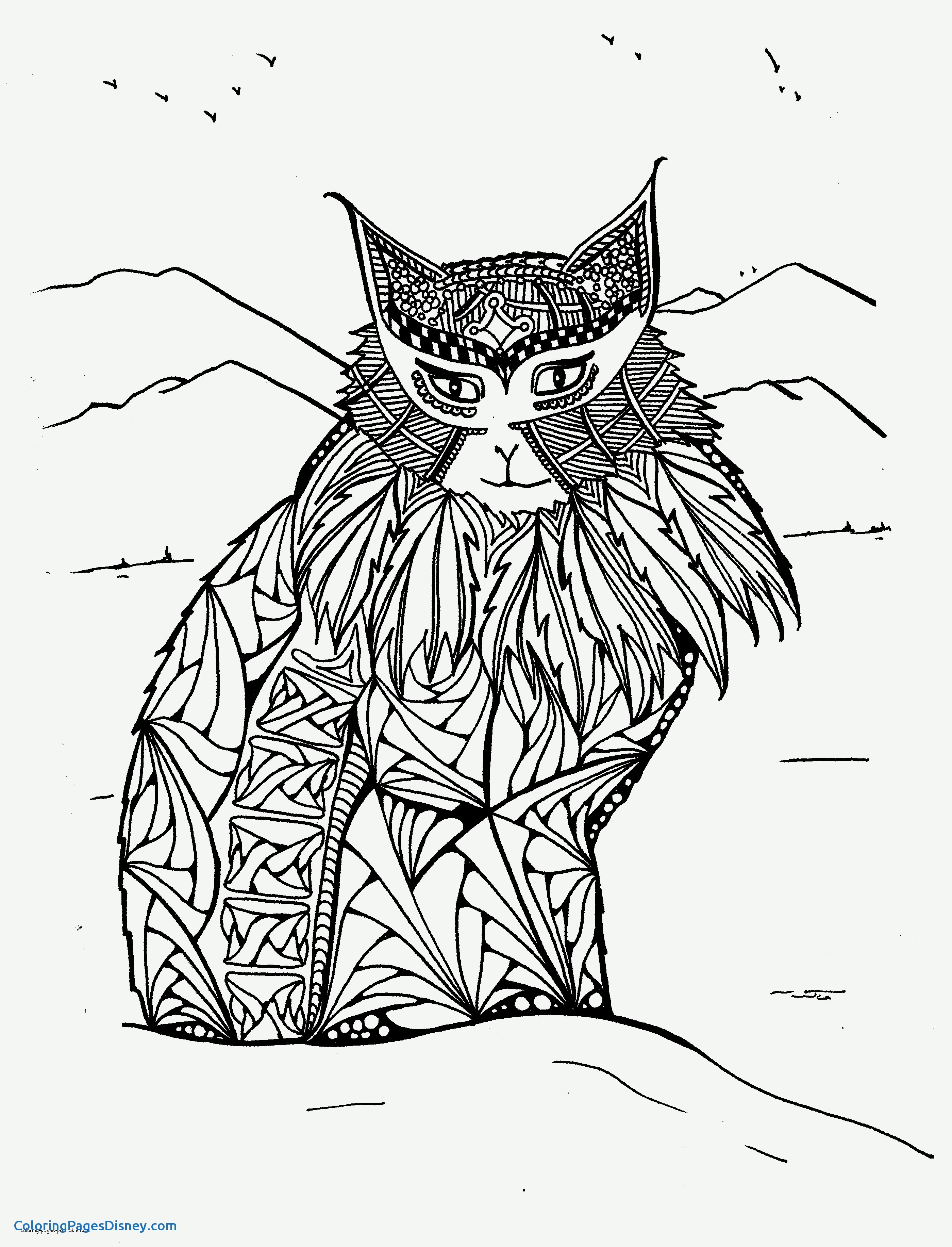 2799x3665 Lynx Coloring Pages New Lynx Coloring Page