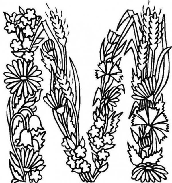 600x641 Alphabet Flowers Letter M Coloring Pages Batch Coloring