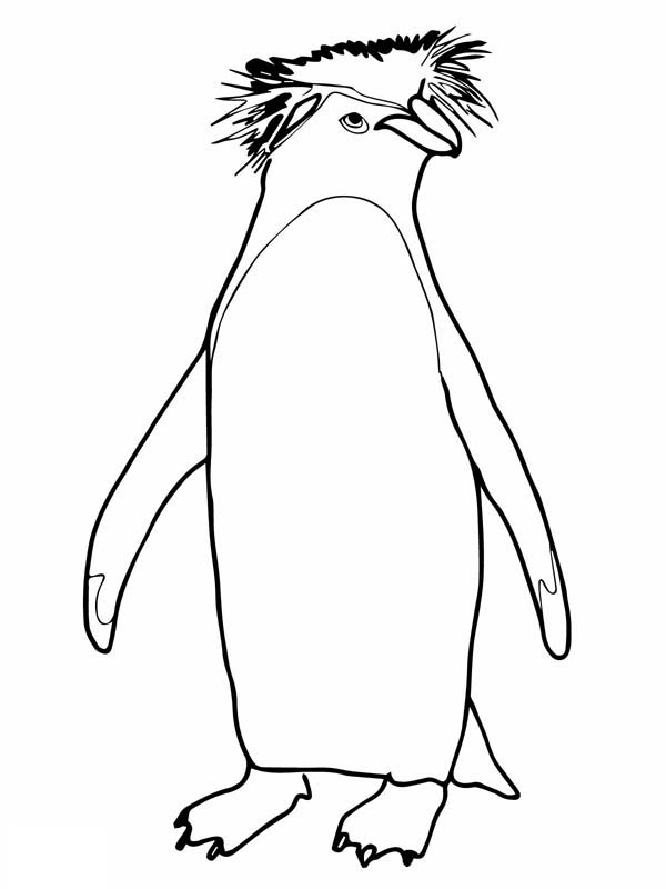 600x800 Macaroni Coloring Pages