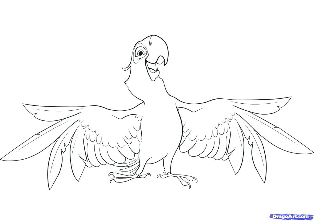 1024x723 Macaw Coloring Page Scarlet Macaw Coloring Page Sheet Blue