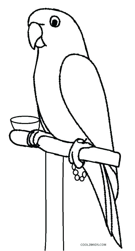 432x800 Coloring Pages Of Parrots Parrot Page Inspiring Macaw Coloring