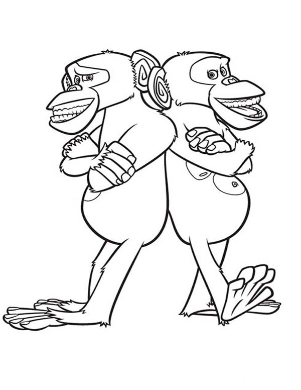 600x776 The Chimpanzee Of Madagaskar Coloring Page Coloring Sun