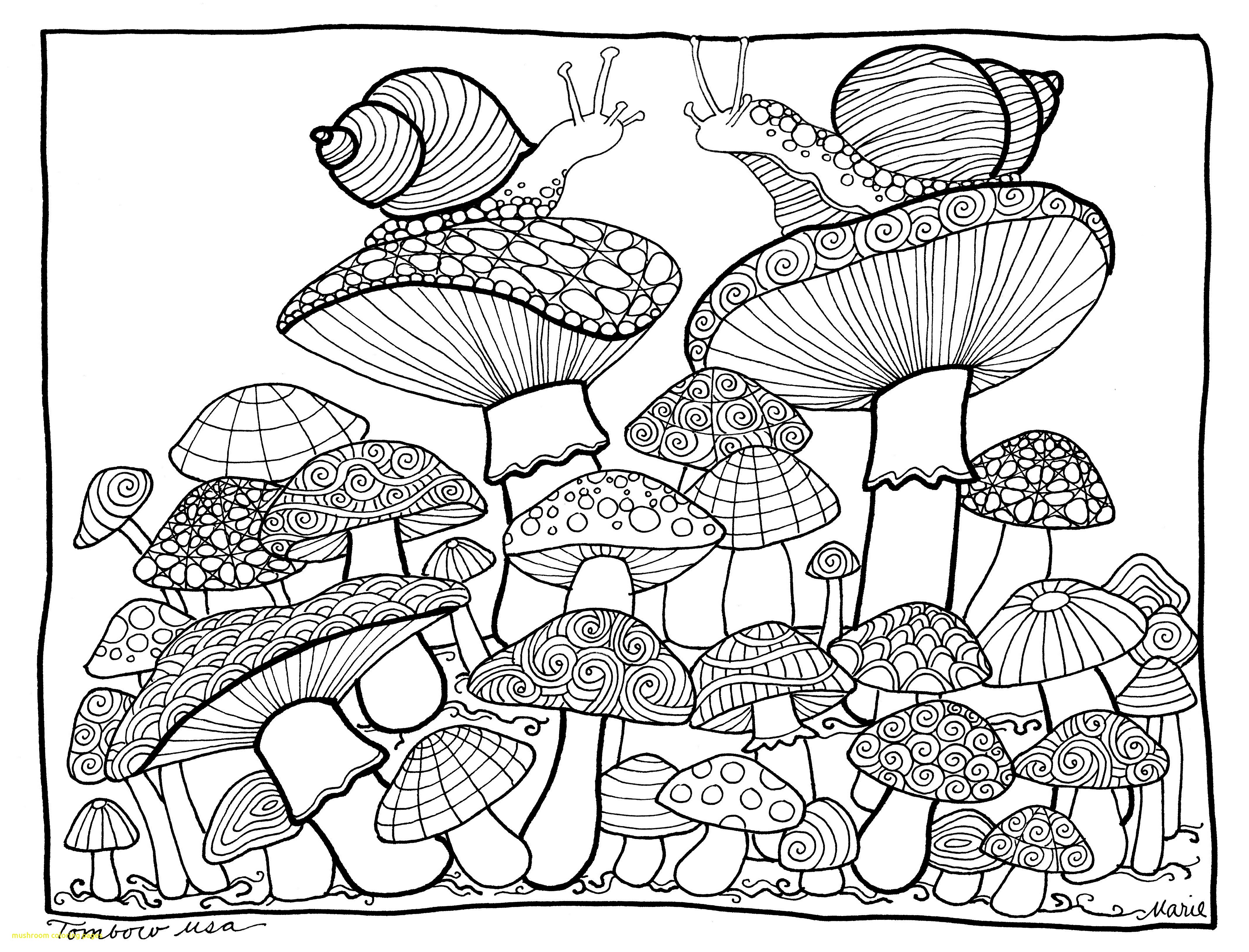 4270x3253 Mushroom Coloring Pages