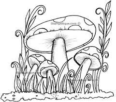 240x210 Resultado De Imagem Para Psychedelic Mushroom Coloring Pages