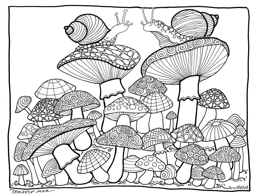 1067x813 Astonishing Psychedelic Mushroom Coloring Pages Printable