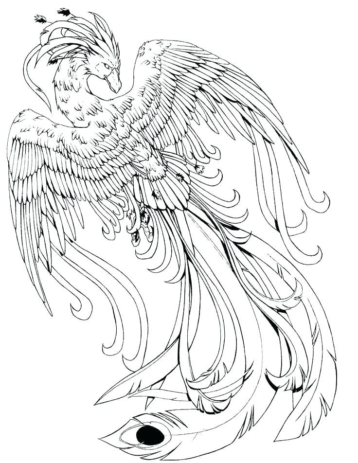 736x952 Mythical Creatures Coloring Pages Mythical Creatures Colouring