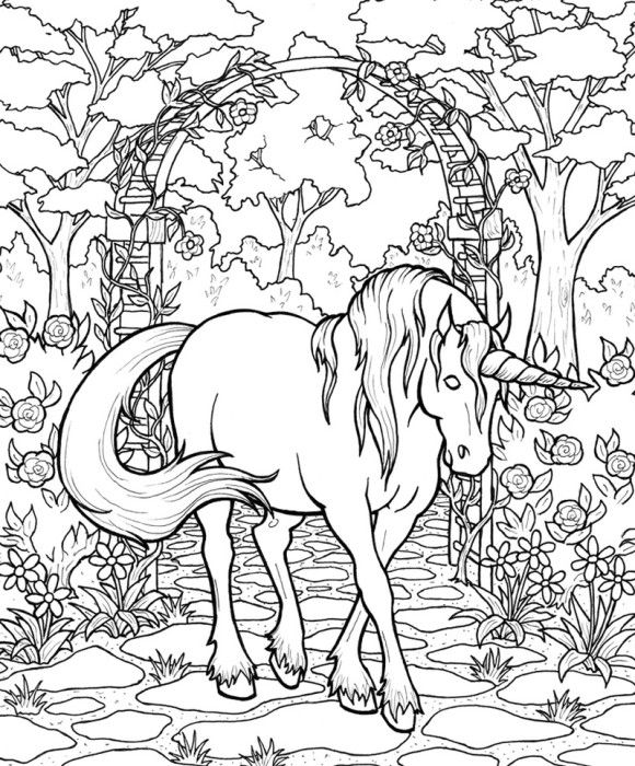 580x700 12 Best Coloring Pages Images On Coloring Books