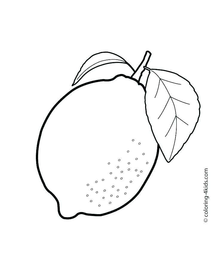736x865 Glass Coloring Pages Cinderella Glass Slipper Coloring Pages