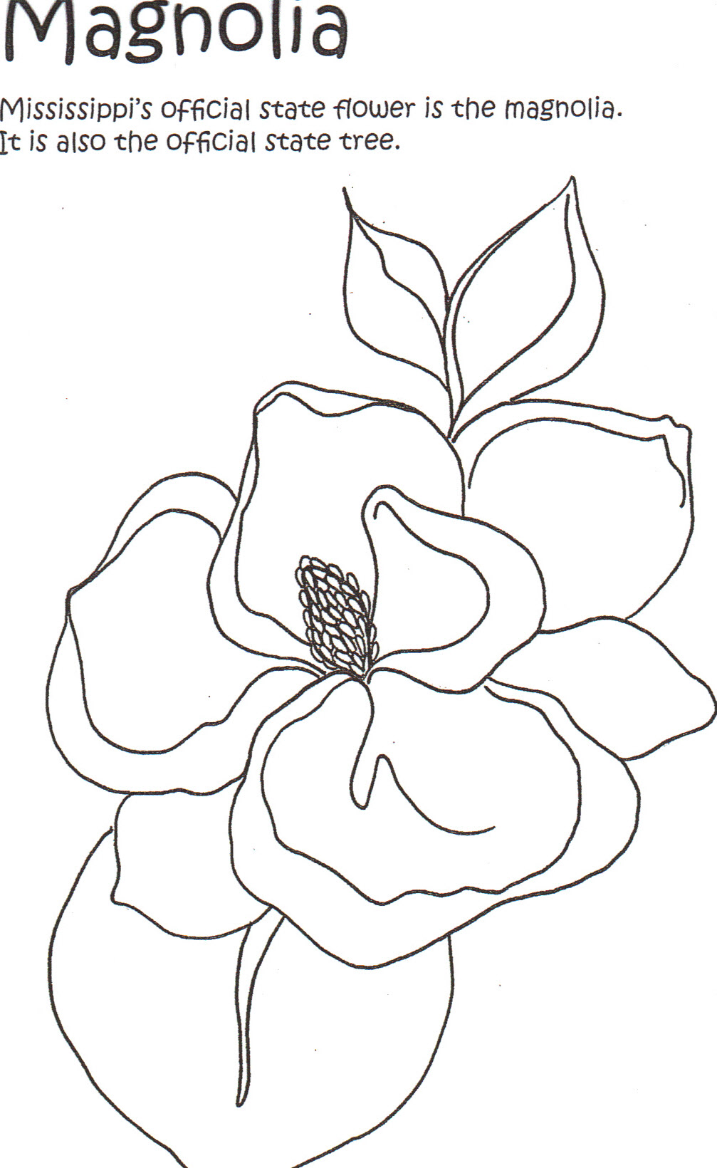 1007x1640 Magnolia Printable