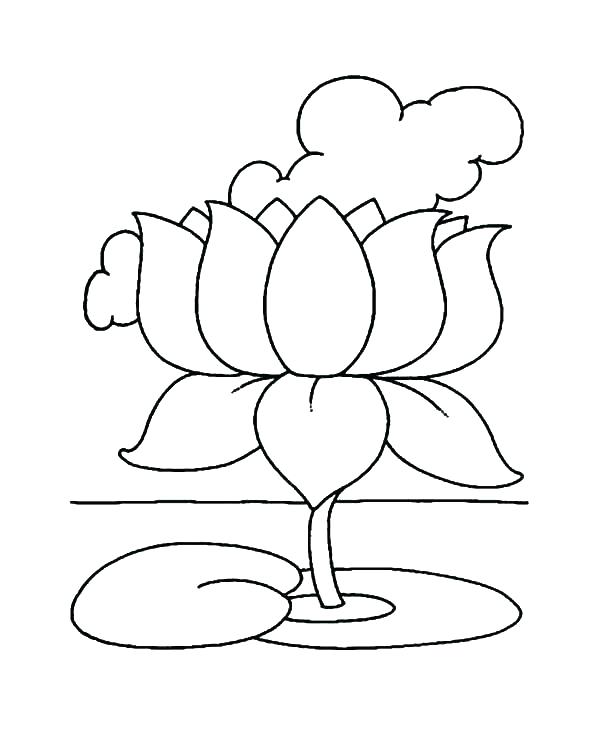 600x733 Flower Color Sheet Easy Flower Coloring Pages Google Magnolia