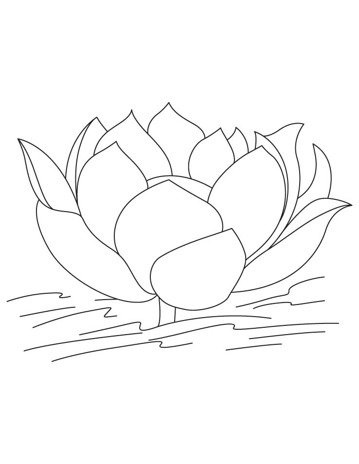 738x954 Free Printable Lotus Coloring Pages For Kids