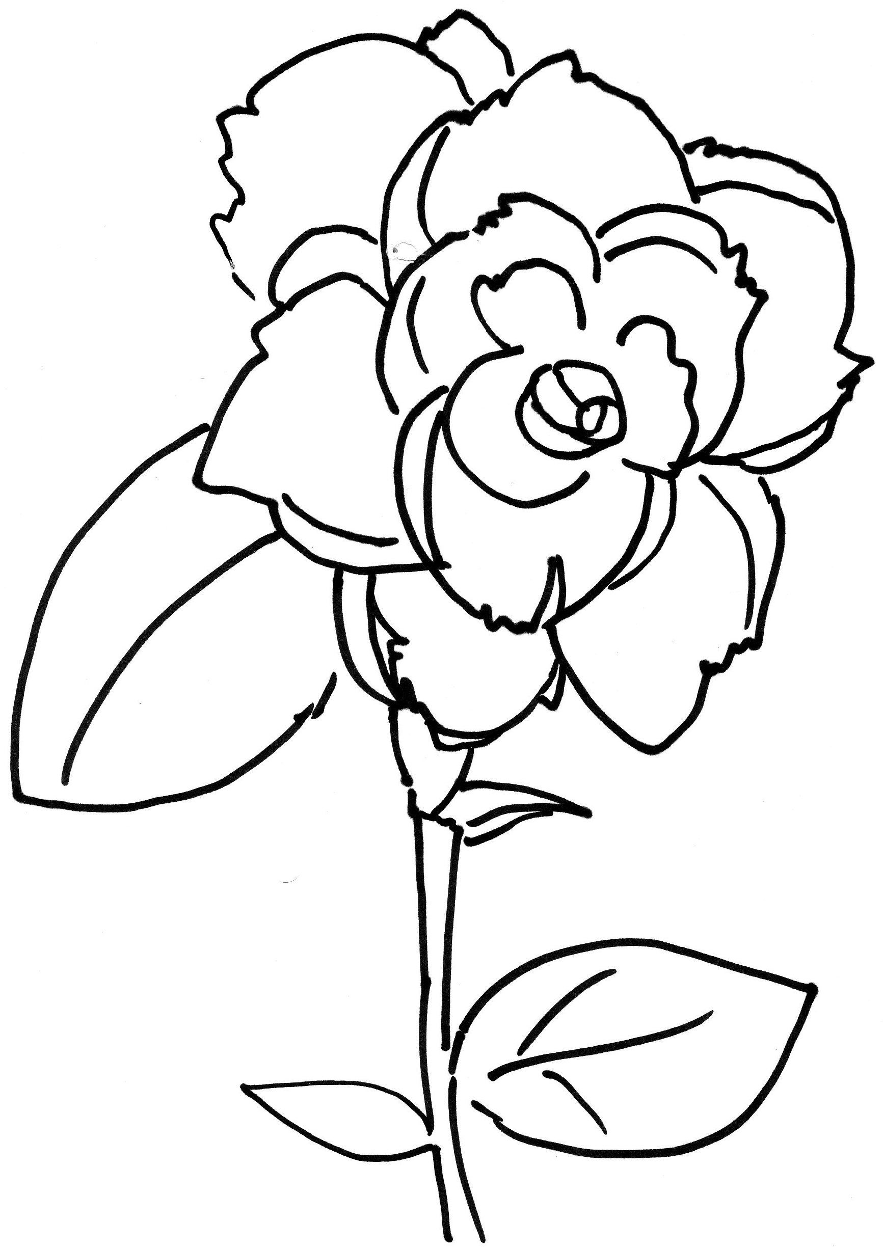 1733x2454 Appealing Coloring Flower Colouring Book Picture Ideas
