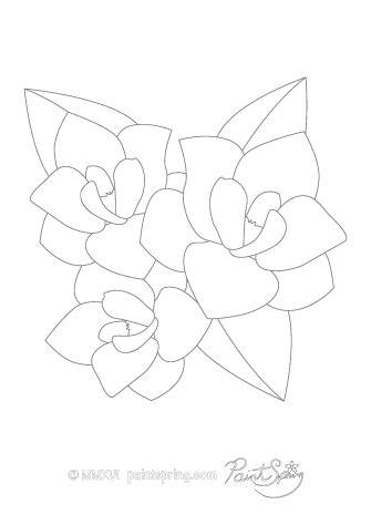 335x474 Printable Flower Adult Coloring Book {Get 3 Free Pages}