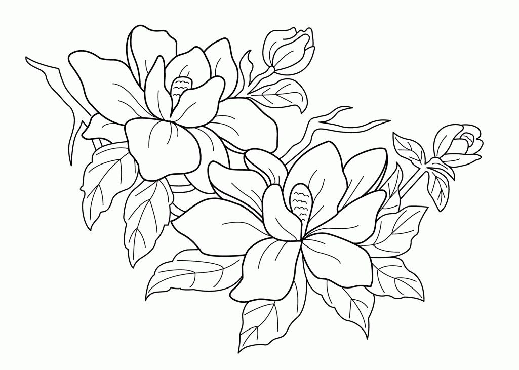 1025x731 Coloring Pages For Kids Flowers Coloring Sheets Of Ocean Animals