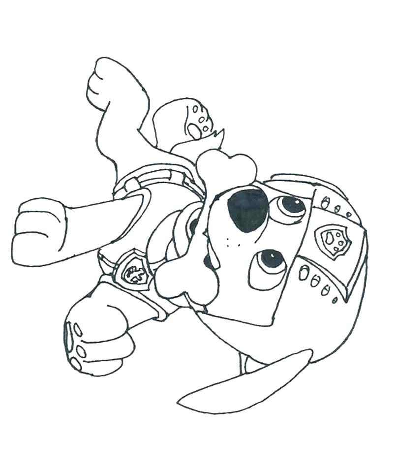 805x961 Perfect Coloring Books By Mail Mold