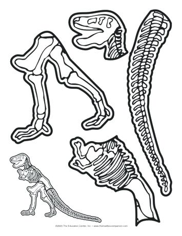 355x460 Dinosaur Skeleton Coloring Pages Bones Coloring Pages Skeleton