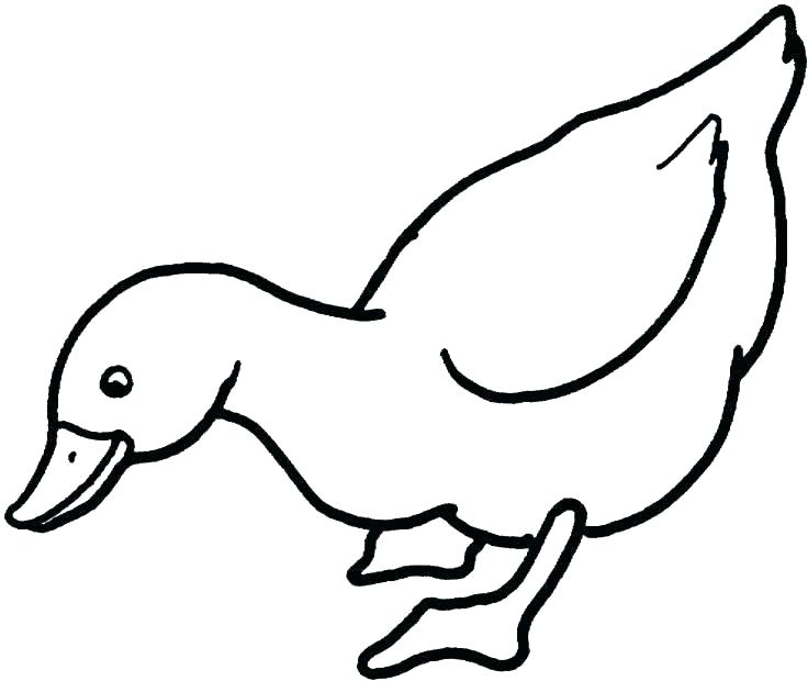 736x620 Duckling Coloring Page Coloring Pages Of A Duck Color Page Ducks
