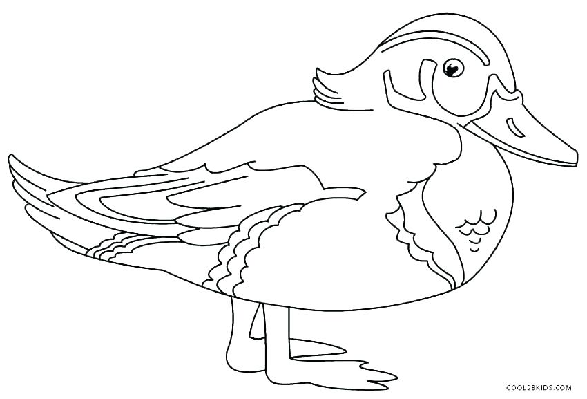 850x577 Duckling Coloring Page Duckling Coloring Page Duck Duckling