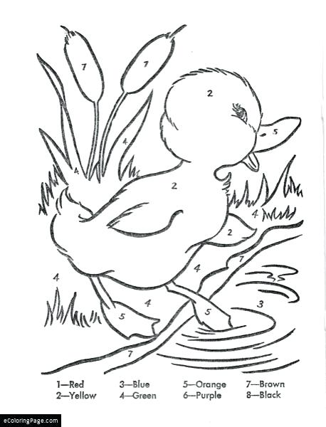 458x600 Duckling Coloring Pages Free Cute Duckling Coloring Clip Art