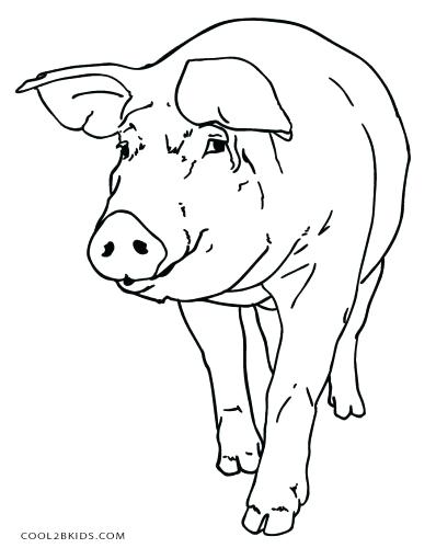 398x500 Make Way For Ducklings Printable Role Play Mask Coloring Page