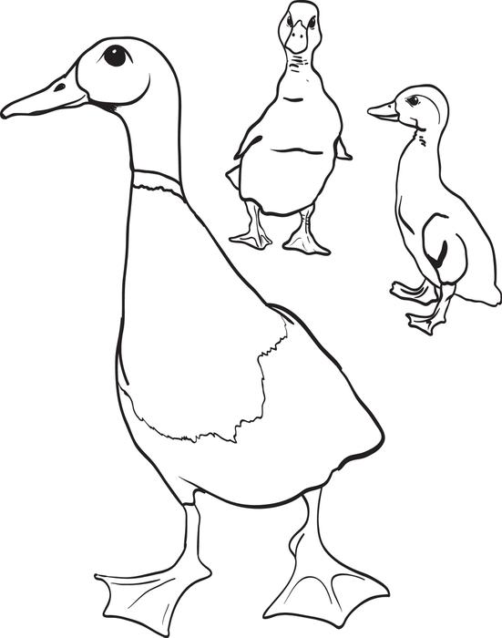 551x700 Make Way For Ducklings Coloring Pages
