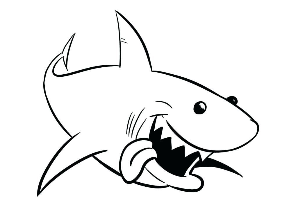 994x768 Mako Shark Coloring Page Shark Color Pages Shark Shark Coloring