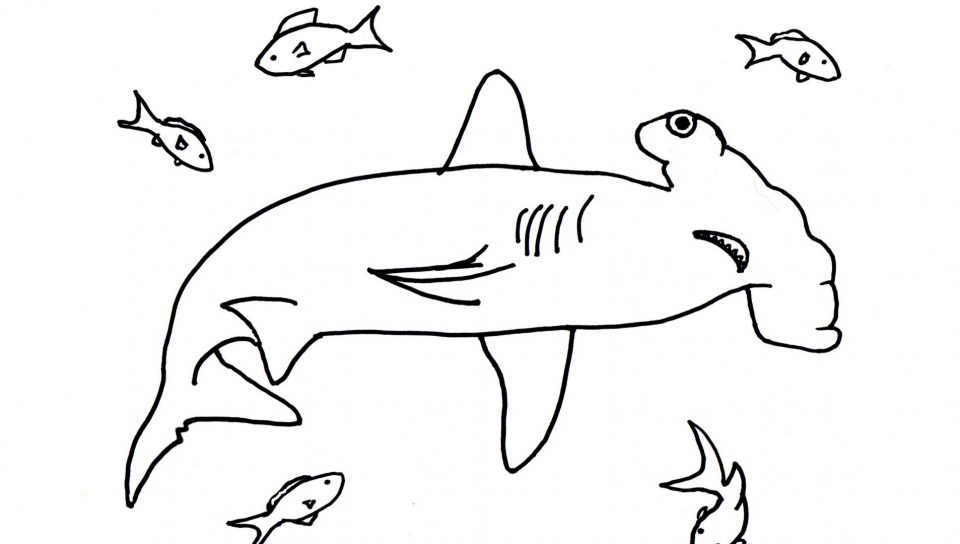 960x544 Coloring For Kids Shark Pages Shocking Goblin General Printable