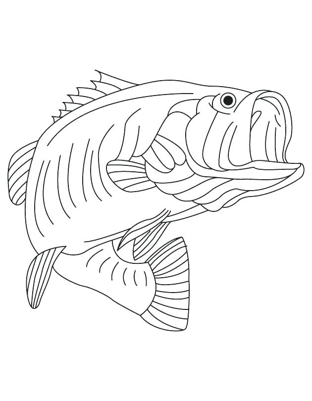 630x810 Shark Coloring Sheet Shark Coloring Pages Shark Jaws Sketch